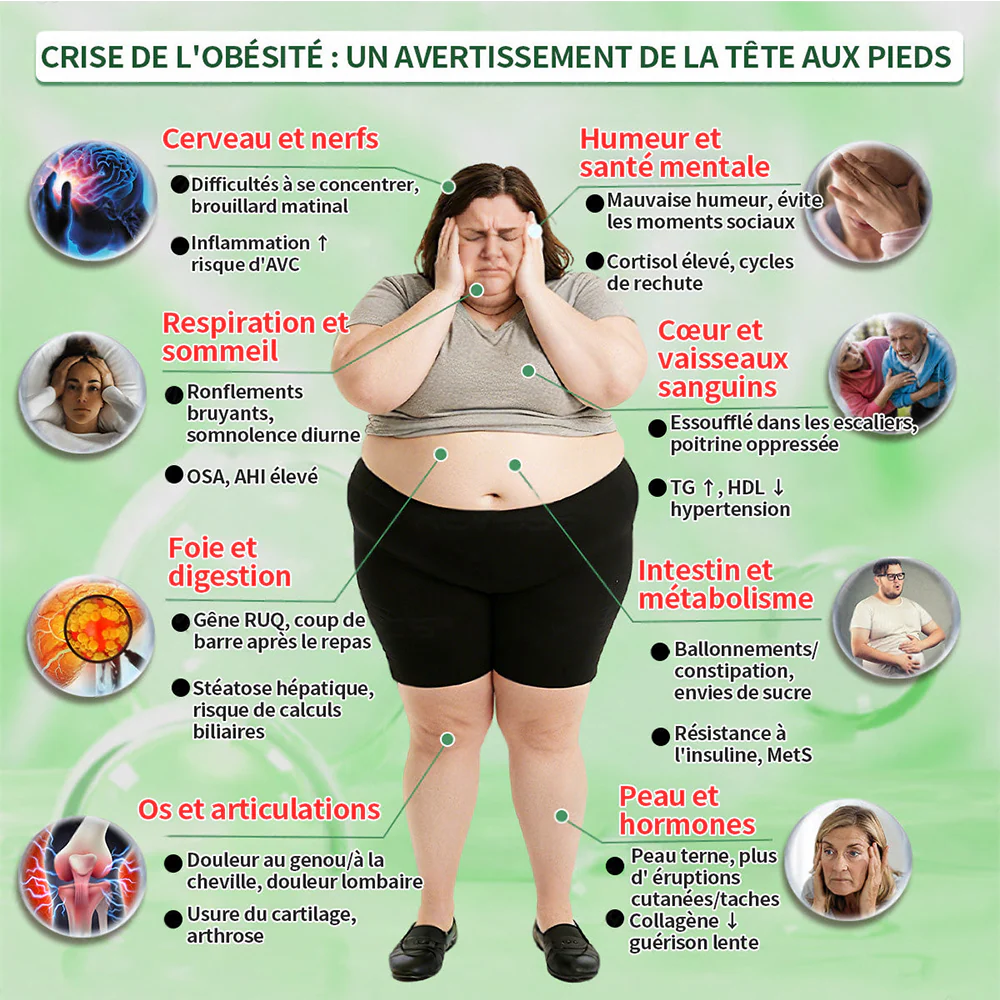 💖𝑷𝒉𝒂𝒓𝒎𝒂𝒄𝒊𝒆 𝑶𝒇𝒇𝒊𝒄𝒊𝒆𝒍𝒍𝒆💖 | Purelora® Moringa · Berbérine Patch 10-en-1 aux Nano-Micro-Aiguilles et Cryo-Gel ✅𝐏𝐨𝐮𝐫 𝐥’𝐨𝐛é𝐬𝐢𝐭é, 🅟🅔🅐🅤 🅡🅔🅛â🅒🅗é🅔,𝐝𝐢𝐚𝐛è𝐭𝐞, 𝐚𝐩𝐧é𝐞 𝐝𝐮 𝐬𝐨𝐦𝐦𝐞𝐢𝐥, 𝐩𝐫𝐨𝐛𝐥è𝐦𝐞𝐬 𝐚𝐫𝐭𝐢𝐜𝐮𝐥𝐚𝐢𝐫𝐞𝐬, 𝐞𝐭 𝐛𝐢𝐞𝐧 𝐩𝐥𝐮𝐬 - Image 4