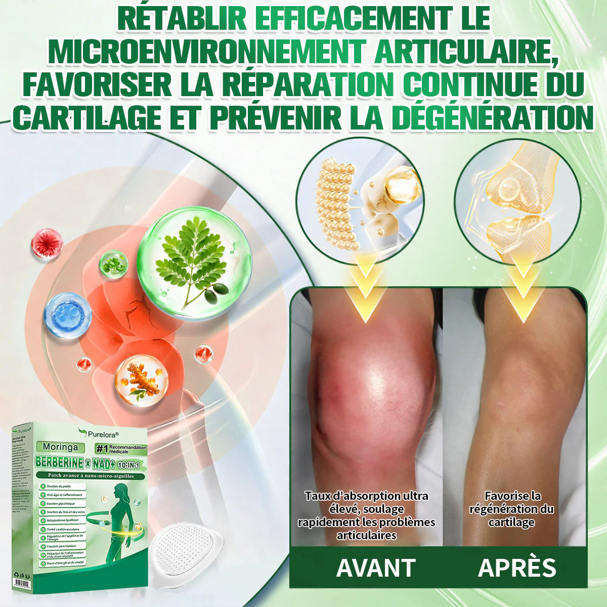 🔥 Nouveauté 2026丨 Purelora® Moringa Berbérine x NAD+ Patch Nano-Microneedle 10-en-1 Une application par jour, changements visibles dès 7 jours. Pour accompagner la gestion du poids et le bien-être global. - Image 5